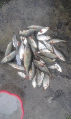 20160612_143045.jpg