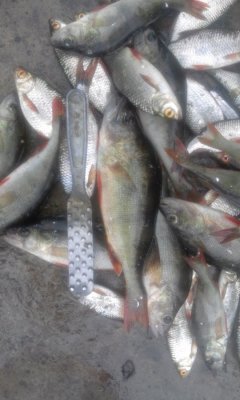 20160612_143053.jpg