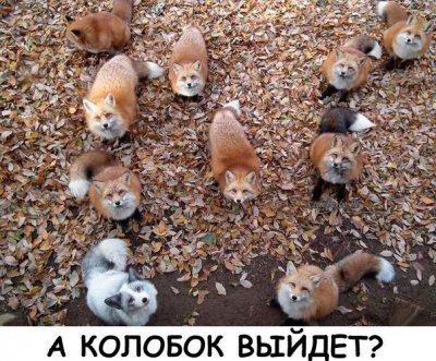 dxvNS300O2o.jpg