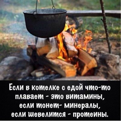 wH1Hv62gs4w.jpg