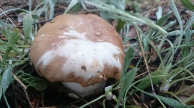 DSC_1120.JPG