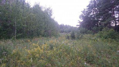 DSC_1126.JPG