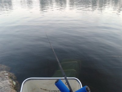 20160617_044322.jpg