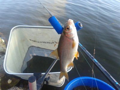20160617_060542.jpg