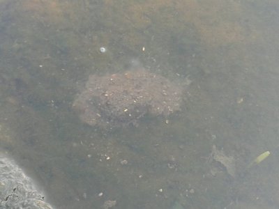 20160617_090602.jpg