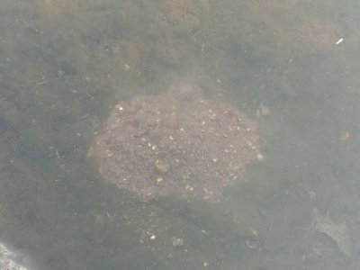 20160617_090622.jpg