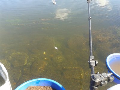 20160617_093156.jpg
