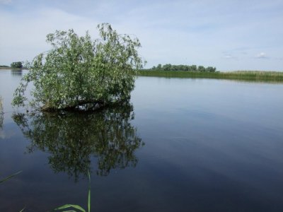 Место испытания.JPG