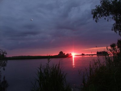DSCF6565.JPG