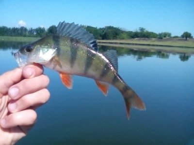 IMG_20160617_093832.jpg