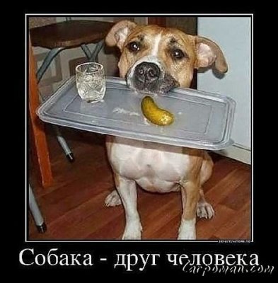 16235338a1e4b73f7f9100aeb28a1a8d.jpg