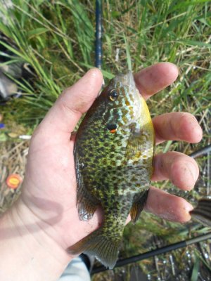 DSCN2908.JPG