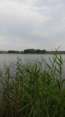 20160619_182144.jpg