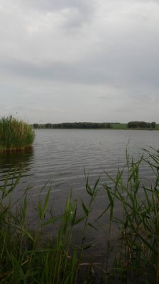 20160619_182150.jpg