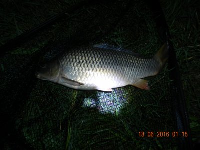 DSCN2612.JPG
