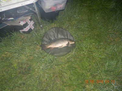 DSCN2613.JPG