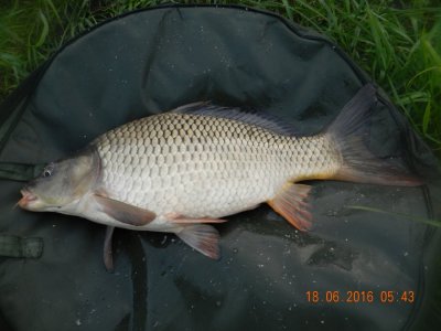 DSCN2615.JPG