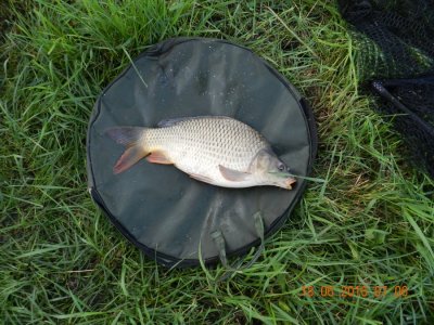 DSCN2616.JPG