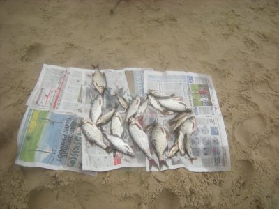 DSCN4062.JPG