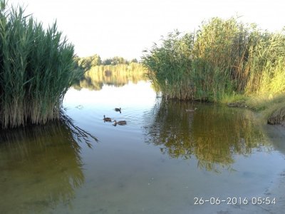 IMG_20160626_055427.jpg
