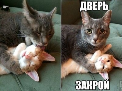 7967312.jpg