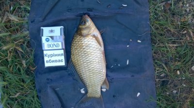WP_20160627_10_24_47_Pro[1].jpg
