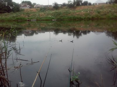 20160629_111519.jpg