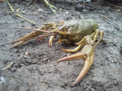 20160629_125247.jpg