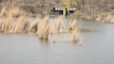 IMG_3065.JPG