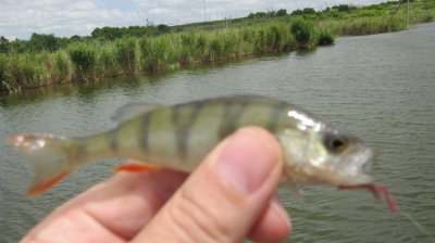 IMG_3166.JPG