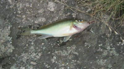 IMG_3169.JPG