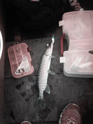 20160630_061854.jpg