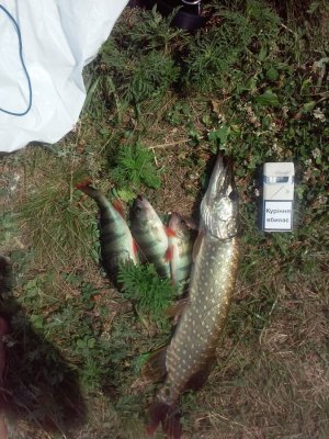 20160630_122020.jpg