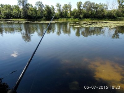 IMG_20160703_102324.jpg