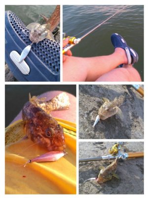 collage-1467576535631.jpg