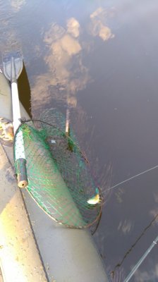 DSC_2132.JPG