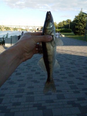 20160705190716.jpg