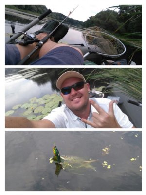 collage-1467921612163.jpg