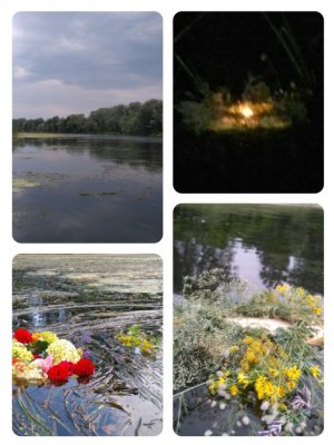 collage-1467926622167.jpg