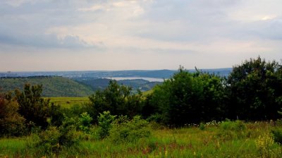 2015-07-02-2129_.jpg