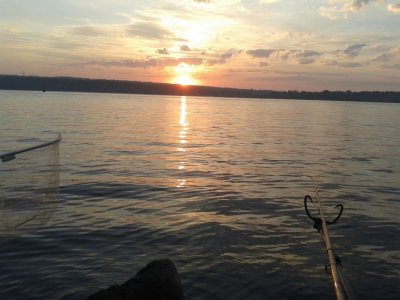 20160707_050534.jpg