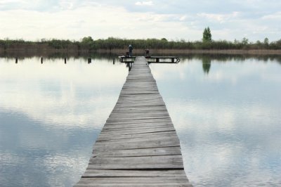 IMG_4407.JPG