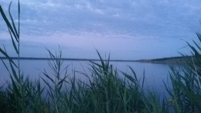 20160709_042124.jpg