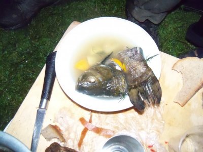 100_2573.JPG