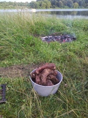 IMG_20160709_203412.jpg