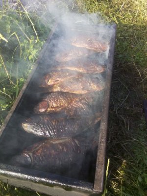 IMG_20160710_080840.jpg