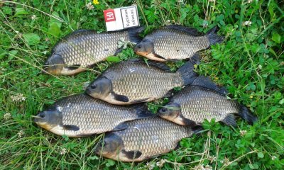 20160710_132746.jpg