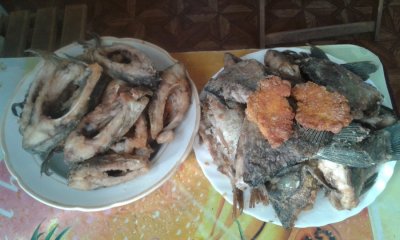 20160710_184651.jpg