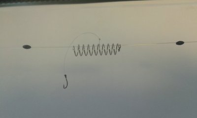 20160712_101256.jpg