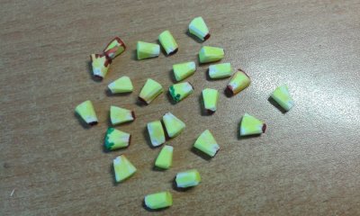 20160712_120459.jpg